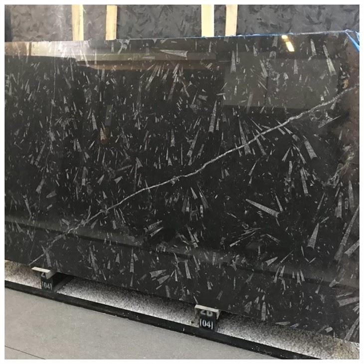 fossil stone slabs