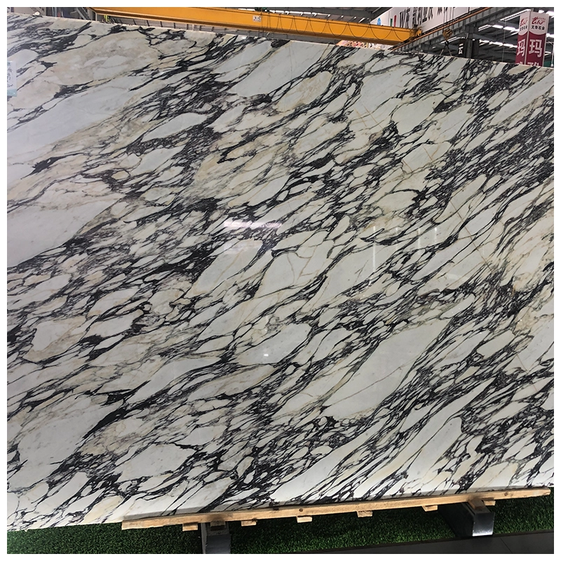 Calacatta Viola Marble Slab Calacatta Viola Marble Slab